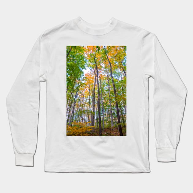 Autumn in the Tree Tops Long Sleeve T-Shirt by BrianPShaw